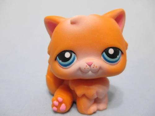 lps orange persian cat