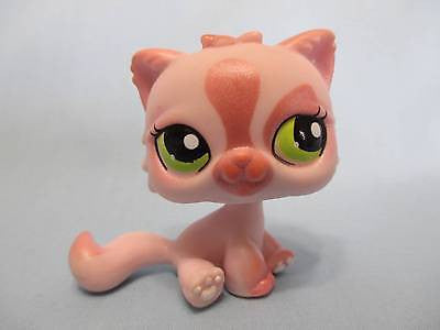 littlest pet shop pink cat