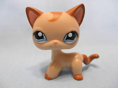 littlest pet shop shorthair