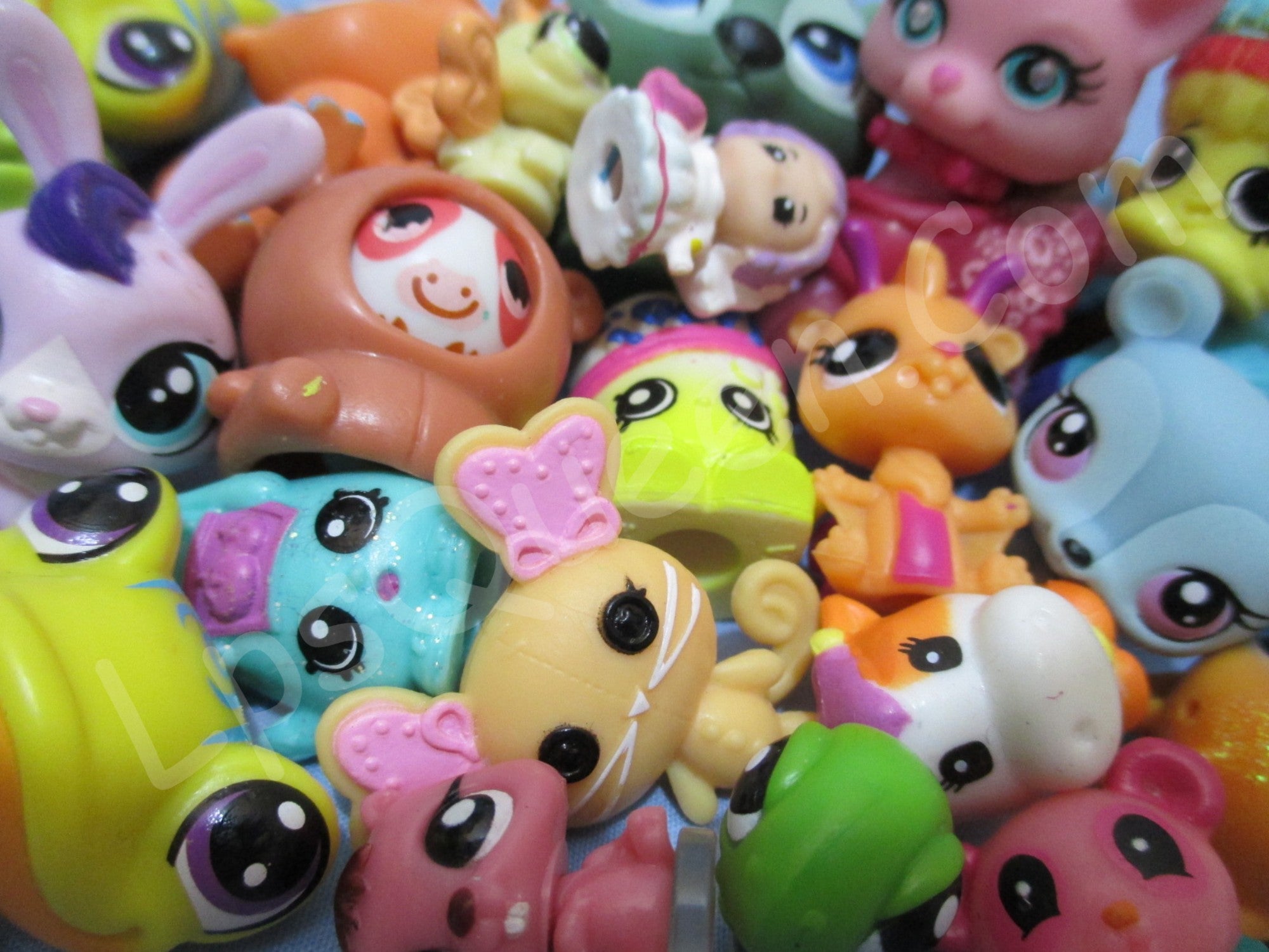 lps rolleroos