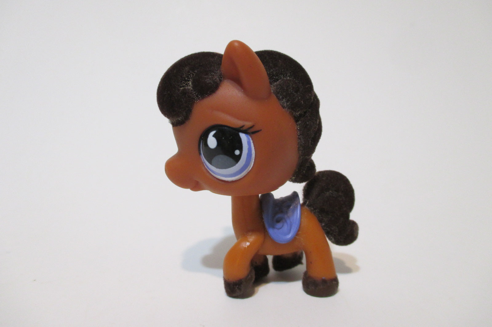 littlest pet shop shorthair