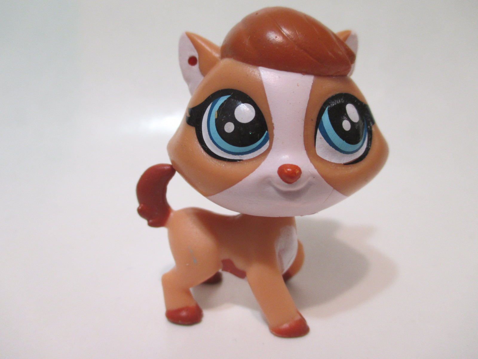 littlest pet shop pomeranian