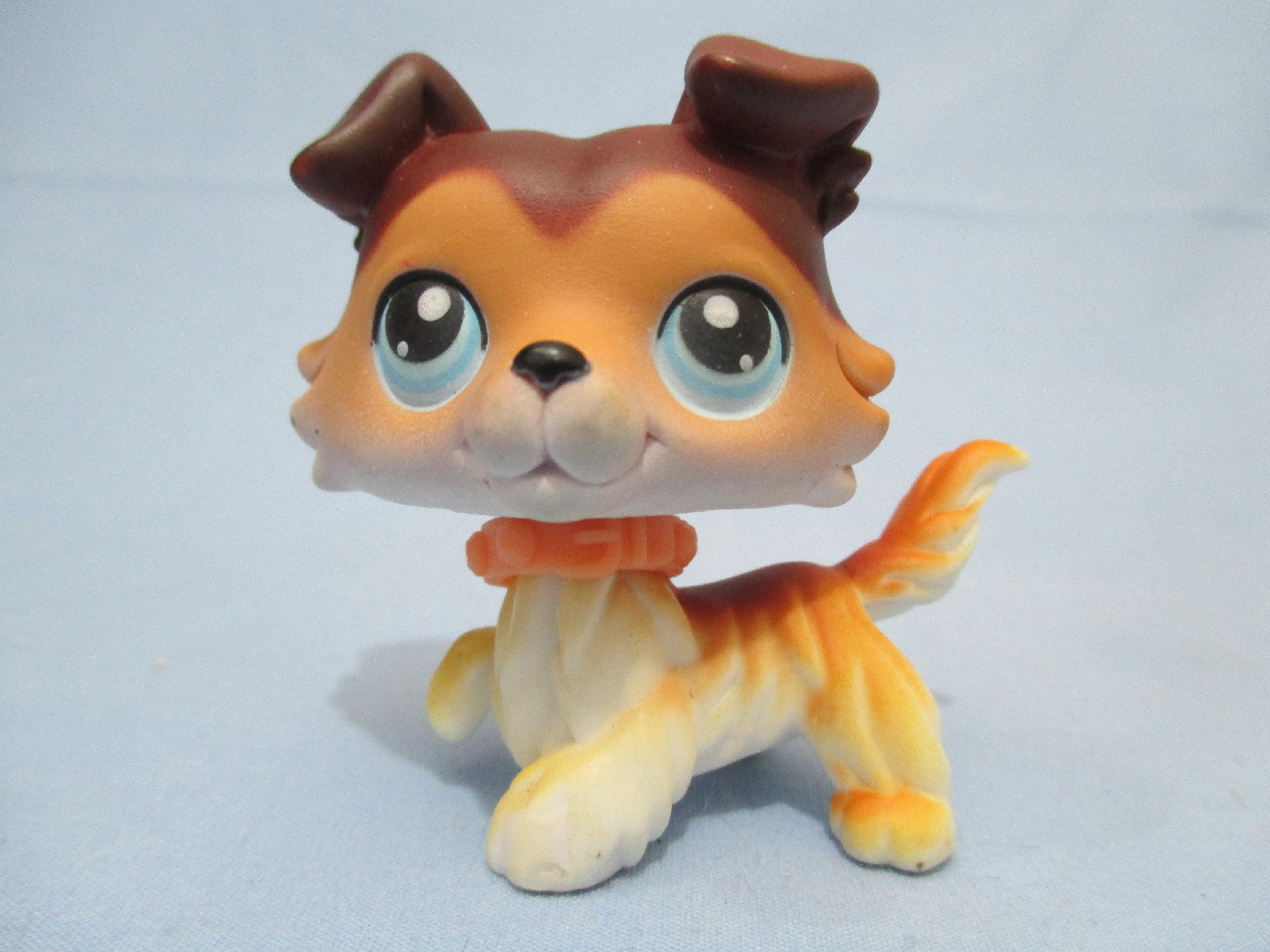 lps collie paw up