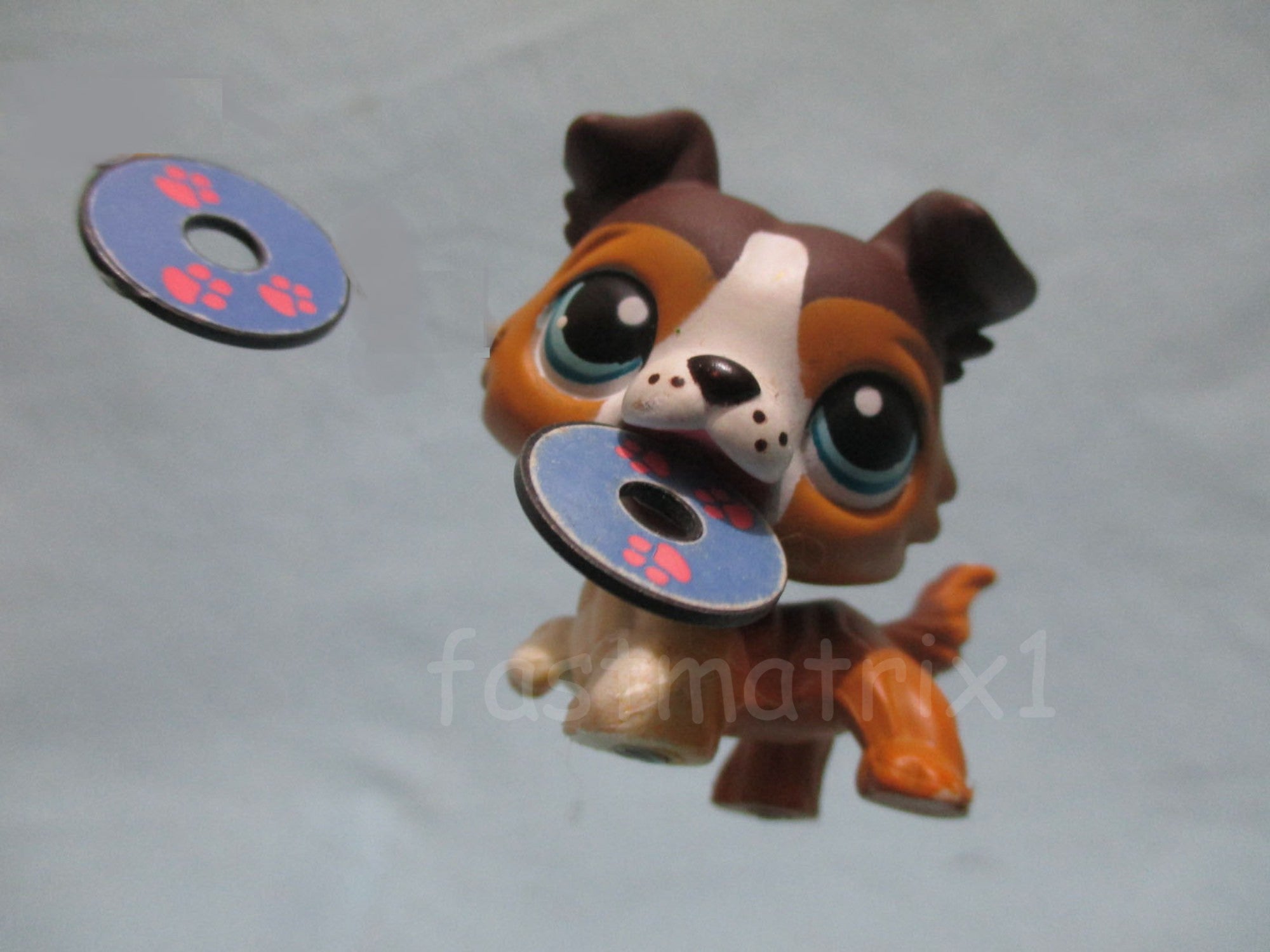 littlest pet shop collie