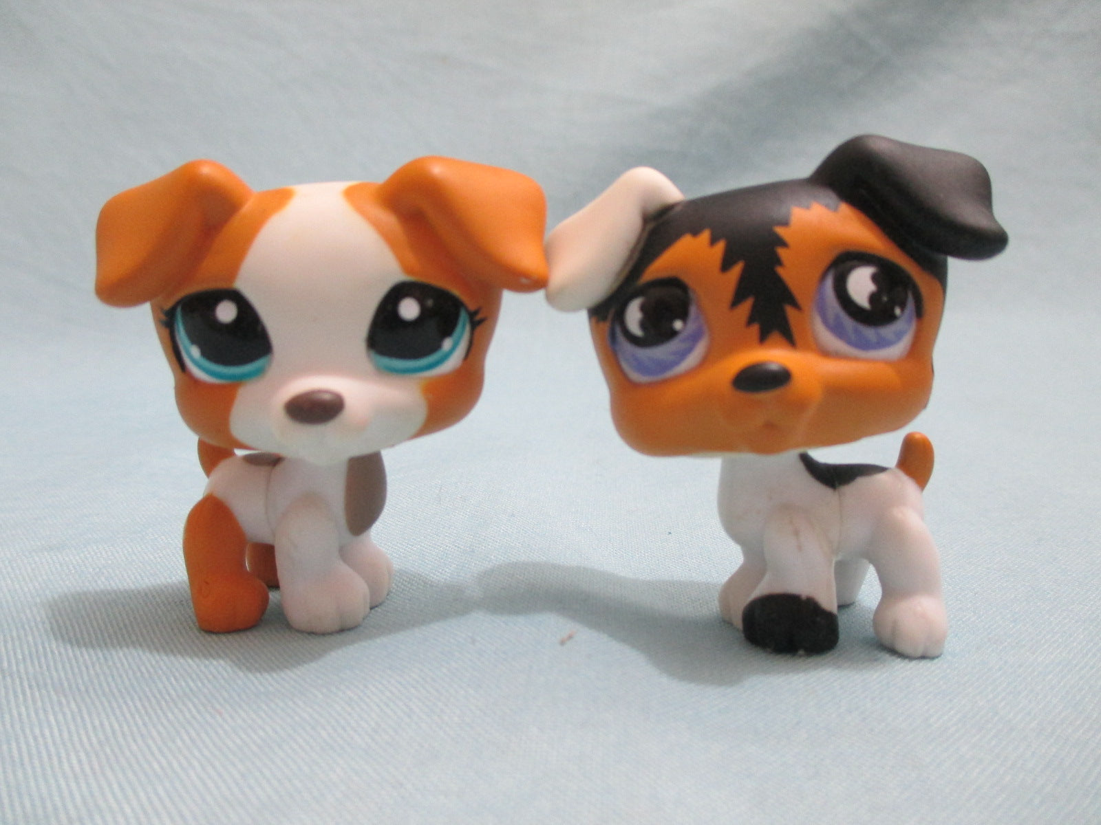 lps jack russell