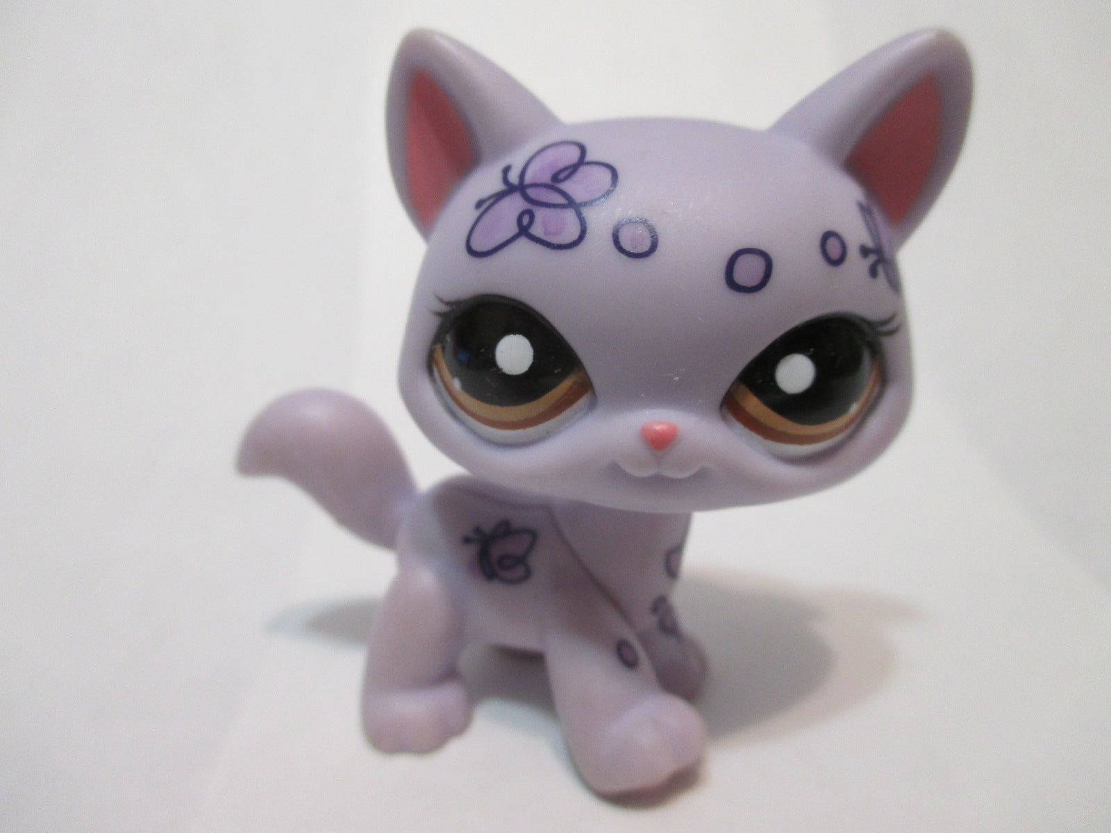 purple lps cat