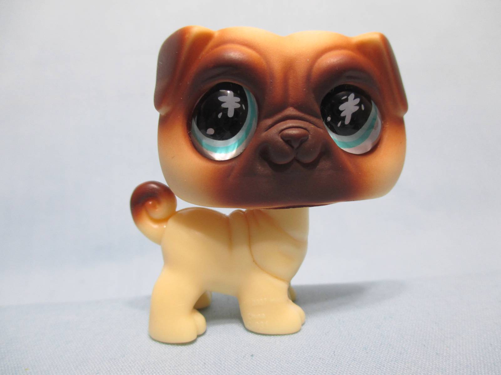 lps pug