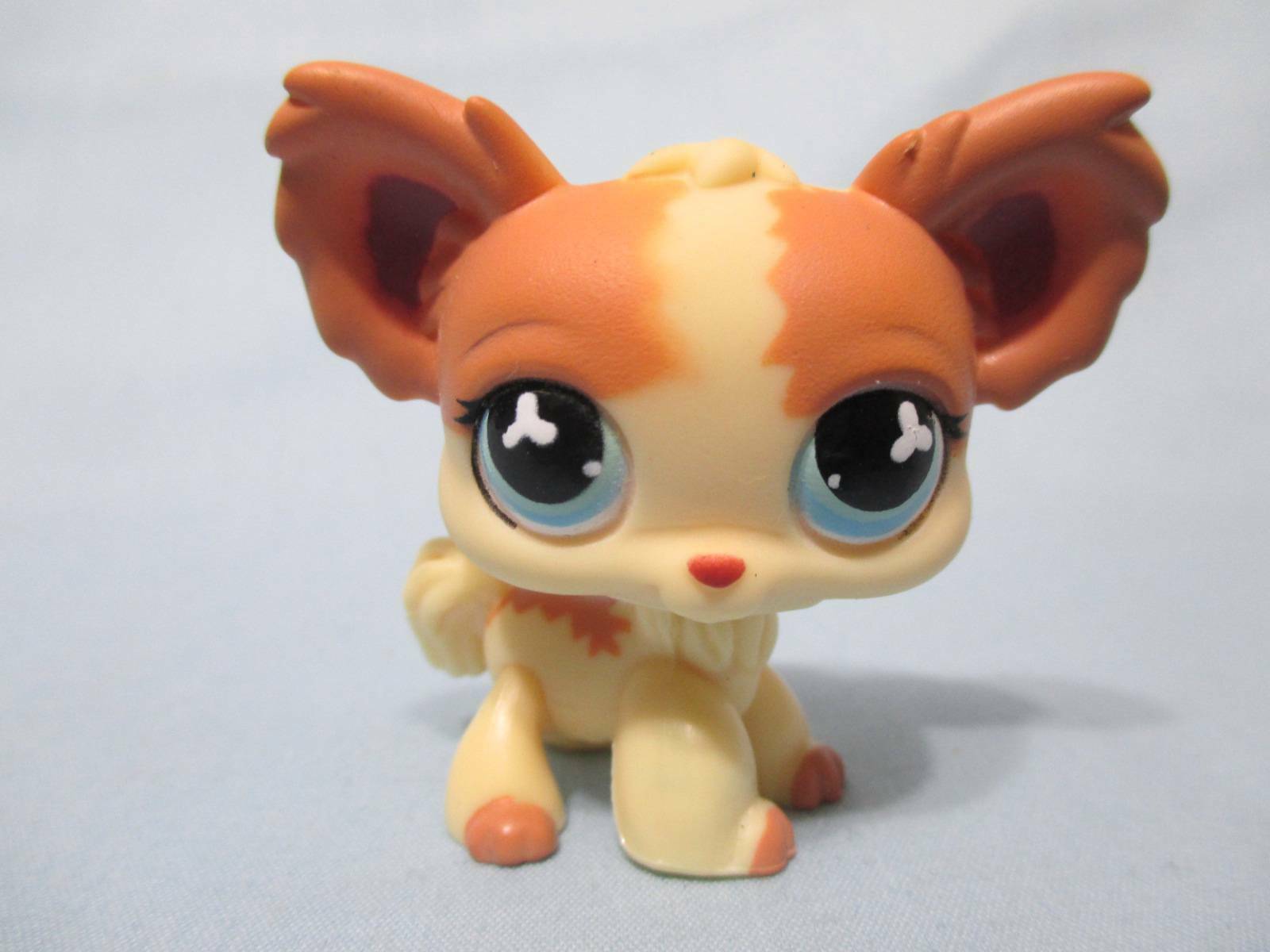 lps chihuahua numbers