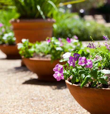 Spring Planters