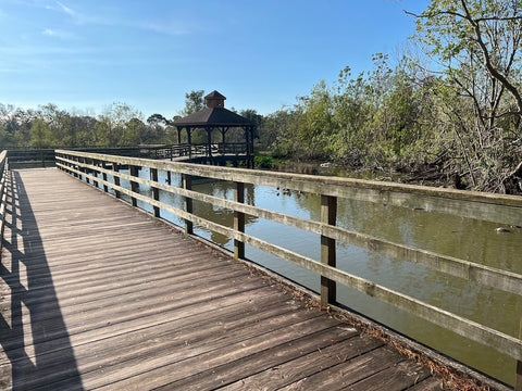 Boardwalk at the Park