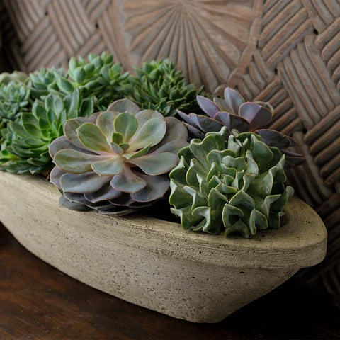 Barca Planter by Campania International