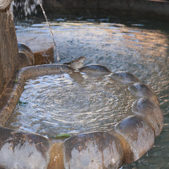 The atheistic of fountains.