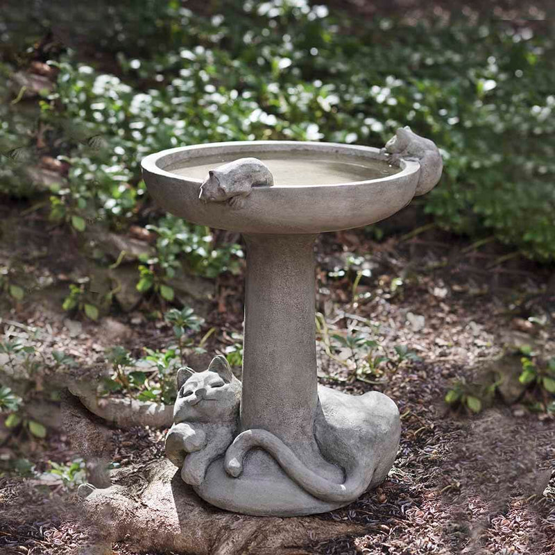 purpose of bird bath