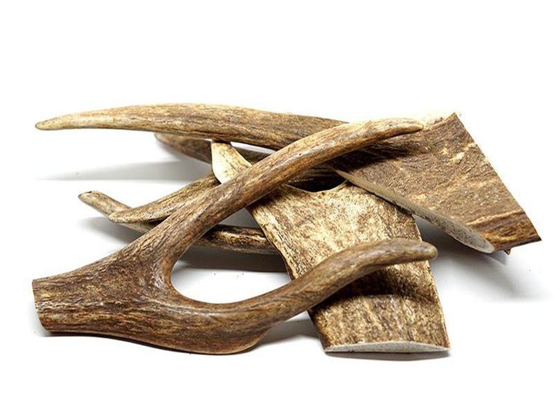 are deer antlers for dogs treated