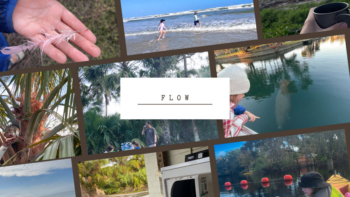 Flow, Burned Out or Just Stuck? How to Know If You Need Rest, Play, or a Big Leap, Blog at Designed With Meaning