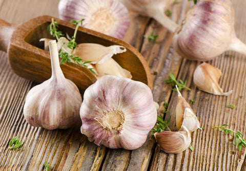 garlic to treat nail fungus - kerstin's nature products
