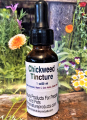 Chickweed Herbal Tincture