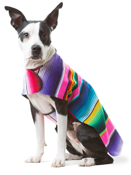 Dog Poncho - Pink – Baja Ponchos