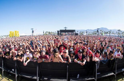 Coachella Music Festival Organize Makeup Travel Z Palette