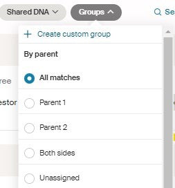 Ancestry DNA Match Groups Menu By Parent