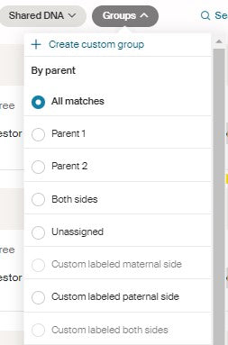 Ancestry DNA SideView - Custom Labeled Match Menu