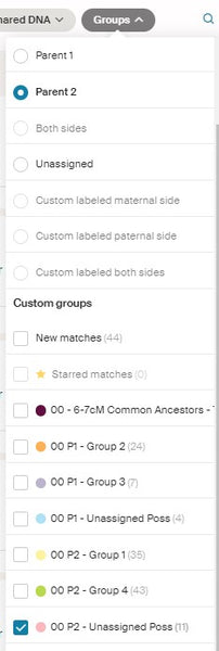 Ancestry SideView review unassigned matches by parent