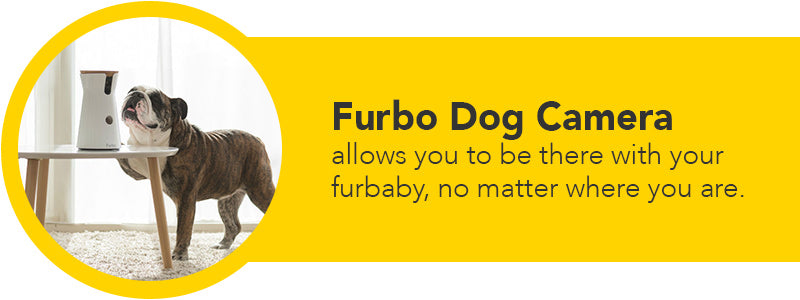 furbo dog camera is top gift on dogs 2018 holiday gift list