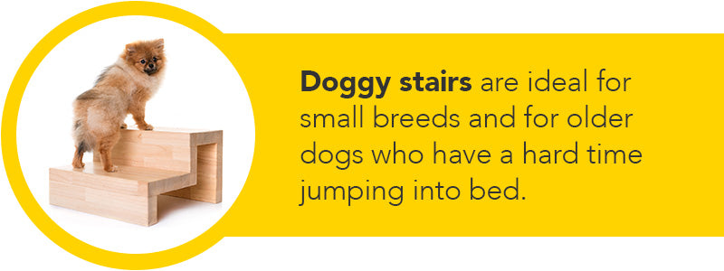 doggy stairs