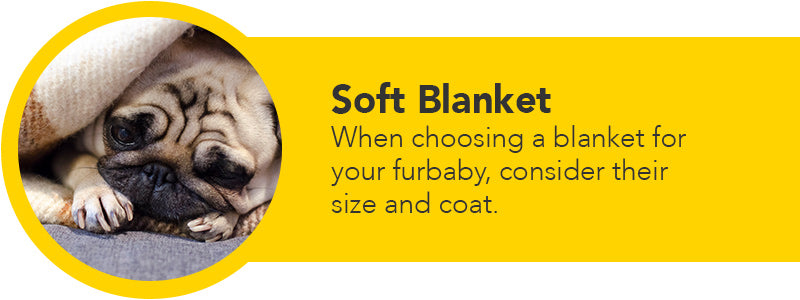 soft dog blanket