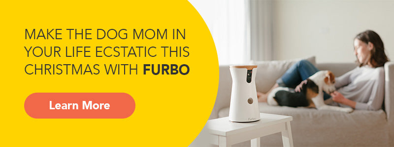 furbo for dog moms