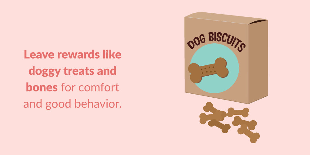 leave rewards like doggy treats and bones for comfort