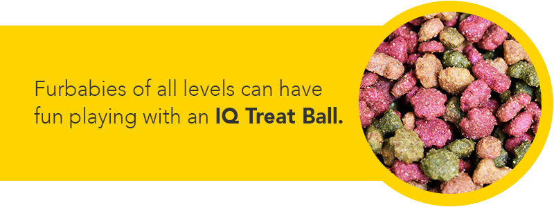 iq treat ball