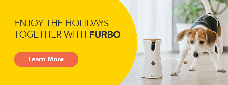 furbo holiday gift