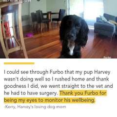 furbo amazon testimonial