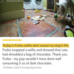 furbo amazon testimonial