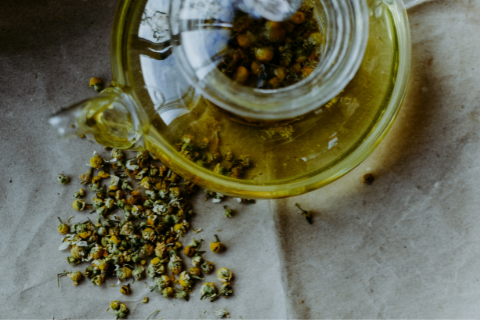 Chamomile is a natural herb that can calm nerves and stress in your pup