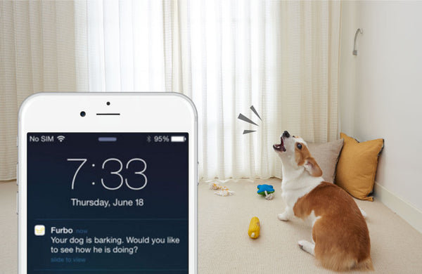 Stop Dog Barking App | Furbo Barking 