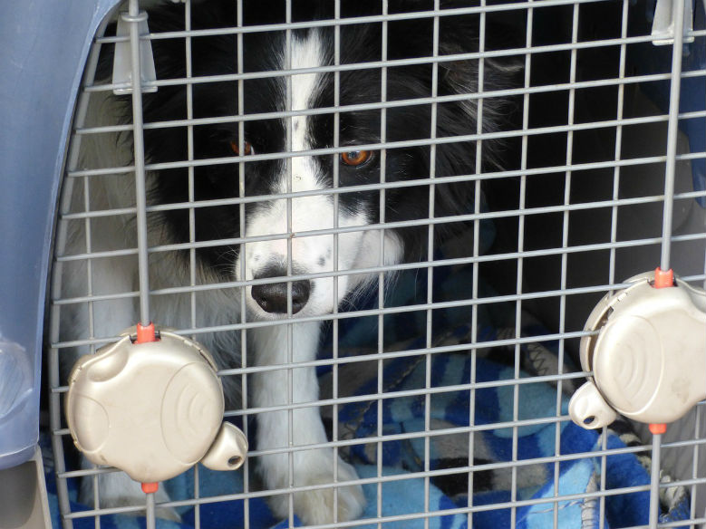 blanket-in-crate