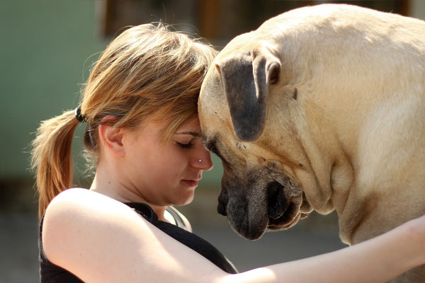 dog-and-female-owner