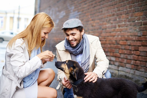 couple dog happy love