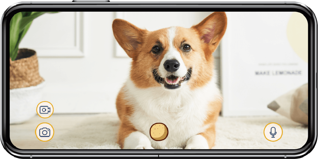 the furbo dog camera