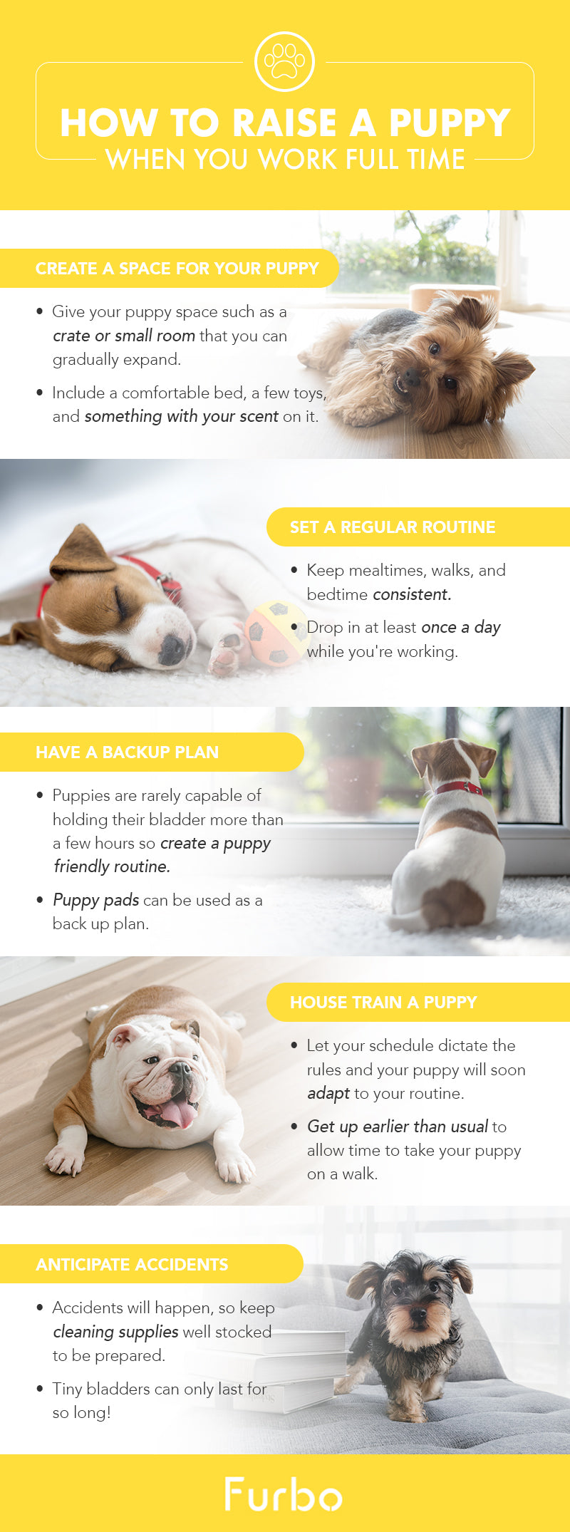 how to pen train a puppy