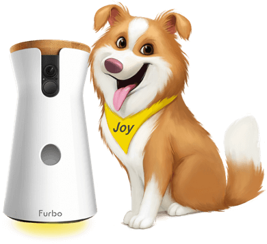 Furbo, cámara de vigilancia para mascotas que lanza premios a distancia