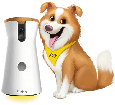 Furbo Dog Camera - La Super Cámara para los Perros - FUNNY DOGS FORMACIÓN  CANINA