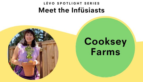 meet the infusiast cooksey farms