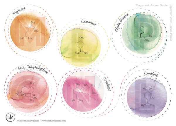 Terpene Pairing Guide