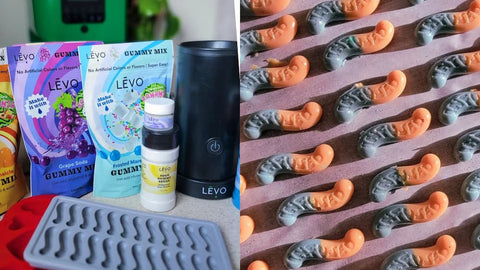 LEVO homemade sleep gummies