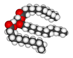 tri-glyceride molecule