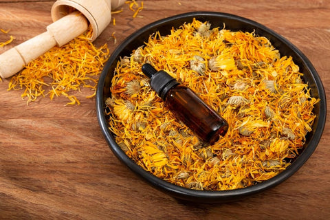 calendula flower and calendula oil