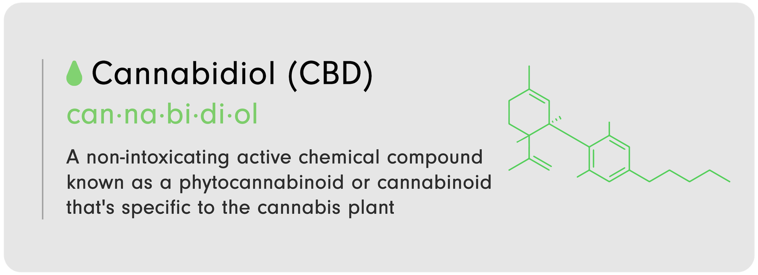 CBD 101 infographic that reads, "C----binoid (CBD): A non-intoxicating active chemical compound known as a phytoc----binoid or cannabinoid that's specific to the c----bis plant."